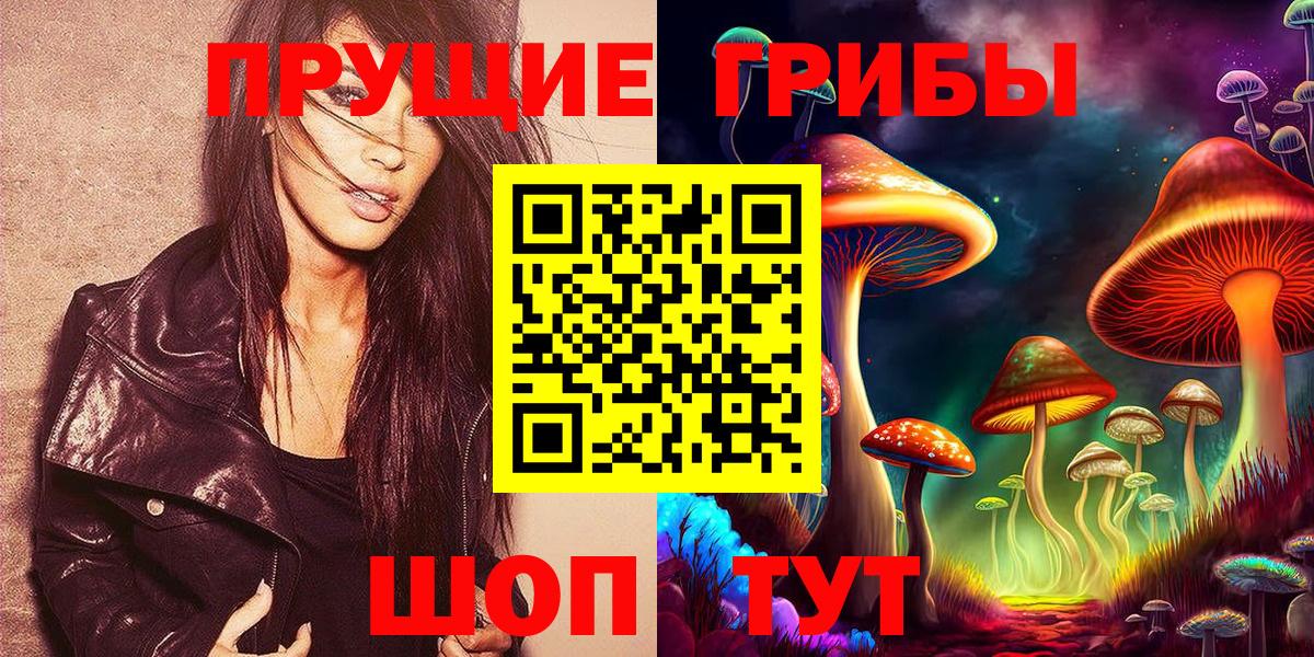 Псилоцибиновые грибы Psilocybe Городец