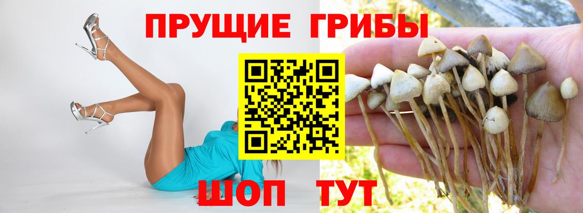 Галлюциногенные грибы мухоморы  Псилоцибиновые грибы Magic Shrooms  Вход с VPN  Городец 